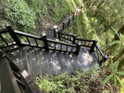 東滿步道木造階梯修繕完成 (林業保育署新竹分署提供)